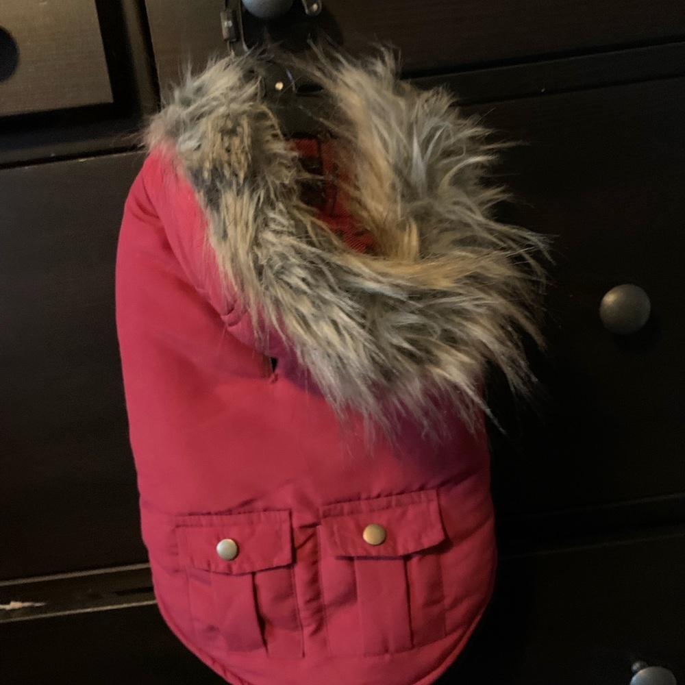 Beaver Canoe small dog jacket.